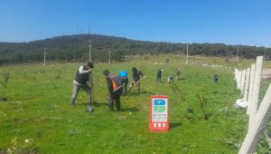 Balıkesir'de çöplükler zakkum kokacak