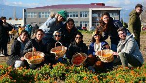 Balıkesirli çiftçiler, aromatik bitki yetiştiriciliğini öğreniyorlar