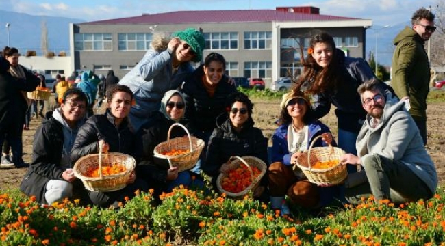 Balıkesirli çiftçiler, aromatik bitki yetiştiriciliğini öğreniyorlar