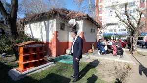 Bayraklı Belediyesi ilçedeki kedi evlerinin sayısını 20'ye çıkardı