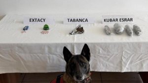 Bodrum'a uyuşturucuya 3 gözaltı