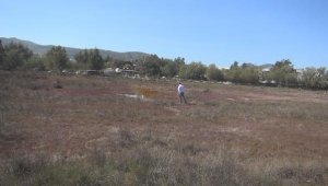 Bodrum'da kuşların sulak alanı kurumaya başladı