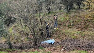 Budamak için çıktığı ağaçtan düşerek öldü