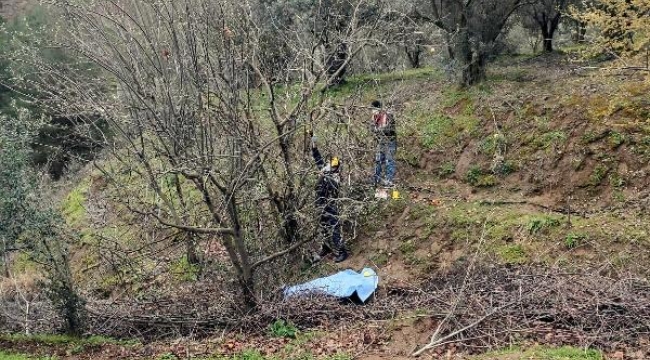 Budamak için çıktığı ağaçtan düşerek öldü