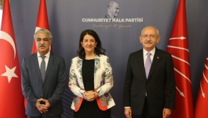 HDP, destek vermek için neler istiyor?