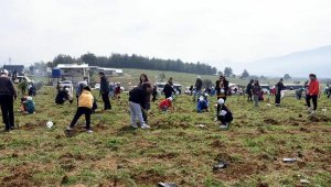 İzmir'de deprem şehitleri için 4 bin fidan diktiler  