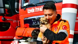 İzmirli itfaiyeci deprem bölgesinden gelen köpeği sahiplendi