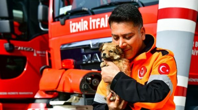 İzmirli itfaiyeci deprem bölgesinden gelen köpeği sahiplendi