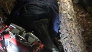 Kestiği ağacın altında kalarak hayatını kaybetti