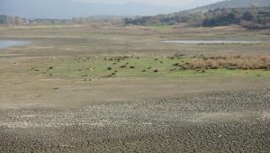 Kuraklık başladı, kuşlar bölgeyi terk etti