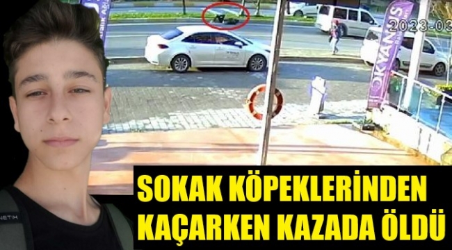 Liseli Mehmet, sokak köpeklerinden kaçarken hayatını kaybetti