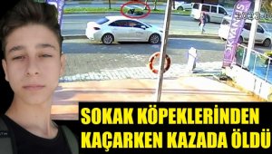 Liseli Mehmet, sokak köpeklerinden kaçarken hayatını kaybetti