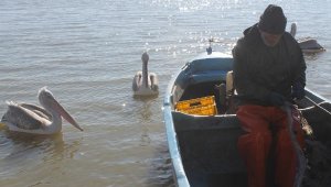 Manyas Gölü'nde av yasağı başlıyor