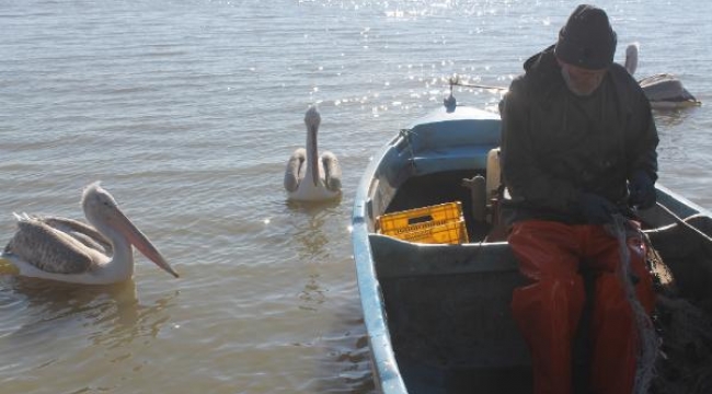 Manyas Gölü'nde av yasağı başlıyor