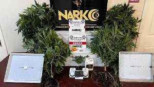 Muğla'da 'uyuşturucu' operasyonu: 1 gözaltı