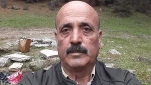 Orman muhafaza memuru kazada öldü