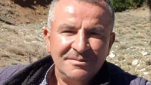 Tavas'ta kestiği ağacın altında kalan kişi öldü