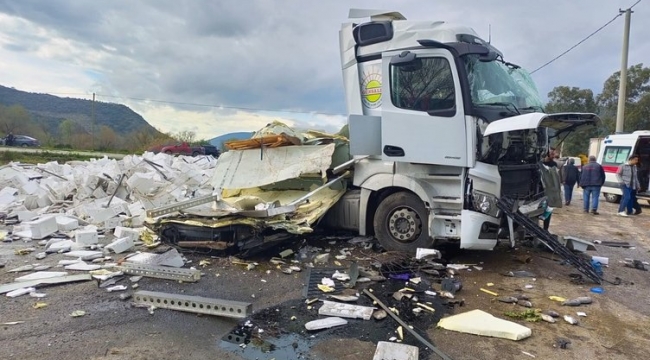 Tonlarca balık yola saçıldı