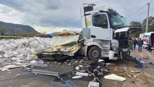 Tonlarca balık yola saçıldı