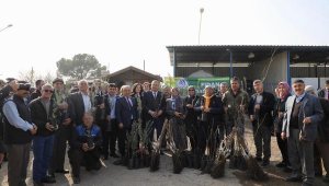 Yunusemre'de üretecilere toplam 35 bin fidan dağıtıldı