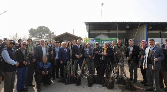 Yunusemre'de üretecilere toplam 35 bin fidan dağıtıldı
