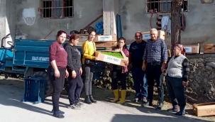 60 bin fide gönderildi! Bornova'nın fideleri Hatay'da ürün verecek