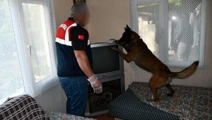 Akhisar'da 'kökünü kurutma' baskını: 25 gözaltı