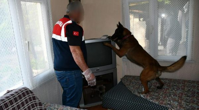 Akhisar'da 'kökünü kurutma' baskını: 25 gözaltı