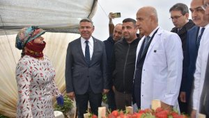 Bakan Vahit Kirişci: Örtü altı üretim alanı 811 bin dekara çıktı