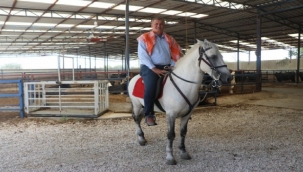 Belediye atlarını satıyor