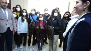 Bir okulun saçları kanser hastalarına peruk oldu