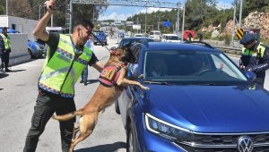 Bodrum'a arife günü 15 bin araç giriş yaptı
