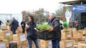 Bodrum'da belediye ekipleri üreticiye ücretsiz 350 bin fide dağıttı