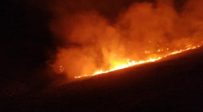 Bodrum'da makilik yangını! 1.5 saatte söndürüldü