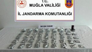 Bodrum'da uyuşturucu ticareti yapan şüpheliye gözaltı