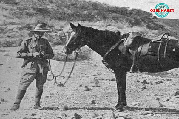 Çanakkale Savaşı'nda adına mezar taşı olan at!