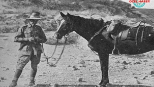 Çanakkale Savaşı'nda adına mezar taşı olan at!