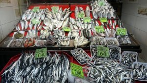 Çanakkale'de tezgahlardaki balık çeşitliliği, olta ve dalyan avcılığıyla sürüyor