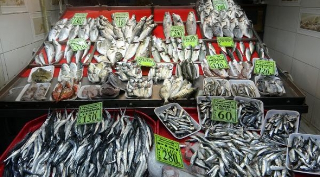 Çanakkale'de tezgahlardaki balık çeşitliliği, olta ve dalyan avcılığıyla sürüyor