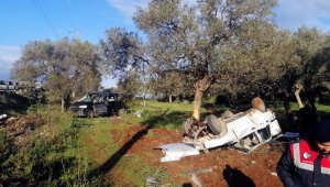 Çarpışan kamyonet ile otomobil zeytinliğe uçtu