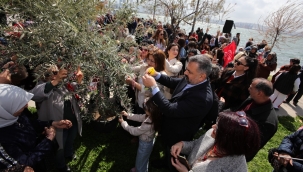 CHP'li kadınlar, marteniçka bileklerini ağaçlara asarak seçimi kazanmayı diledi