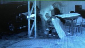 Çikolata yiyip enerji içeceği içerek malzemeleri çaldı