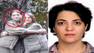 Dağdan indirip milletvekili adayı yaptılar