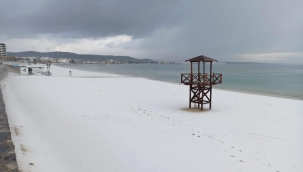 Görülmemiş doğa olayı! Plaj buz kesti