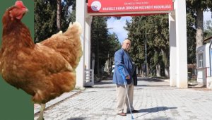 Huzurevinde 'kayıp horoz ve tavuk' davası