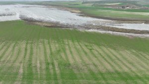 Kuruyan Marmara Gölü'nde tarımsal üretim yapılmasına dava