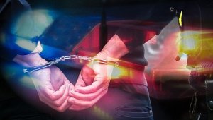 Manisa ve İzmir'de suç örgütüne operasyon