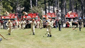 Orman İşletme Müdürlükleri'nde işbaşı eğitimi