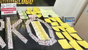 Paralara emdirilmiş bonzai ele geçirildi