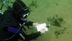 Pina, saatte 6 litre deniz suyunu süzerek müsilaj oluşumunu engelliyor